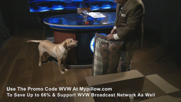 Photo of Mike Lindell Sends The WVW-TV Studio Dog Delta A New MyPillow Dog Bed: Watch Her Response